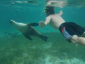 Centrebreak Beach Stay - Accessibility Features