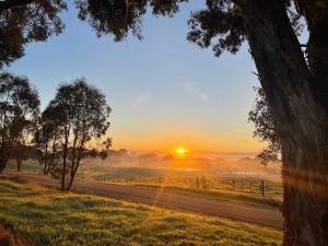 Cosy Glamping Tent 6 - The Sum Up