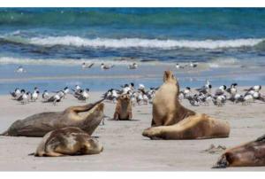 Discovery Parks - Kangaroo Island - Shared Facilities