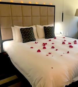 Ellen Hotel - Highlights and Notable Features