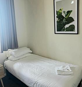 Family Hotel - Recreational Activities