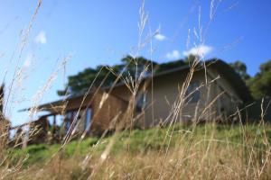 Gisborne Peak Winery Short Term Stays - Accommodation Types