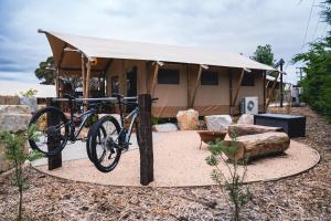 Glamping 148 Tasmania - Guest Experiences