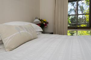 Hollyhock - Guest Experiences