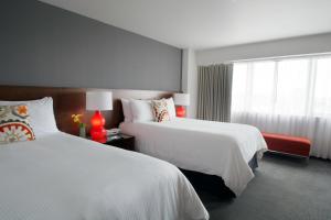 Hotel Murano - Local Attractions and Activities