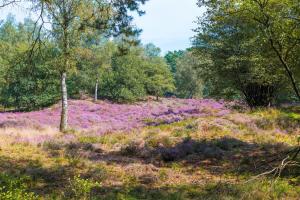 Hotel The Hoeve of Nunspeet - Dining Options