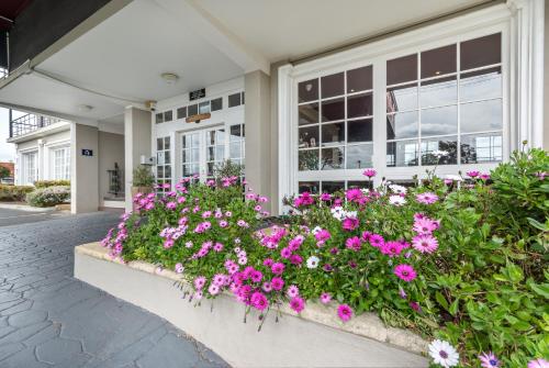ibis Styles Albany Review