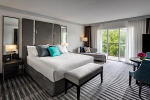 InterContinental Sydney Double Bay, an IHG Hotel - Nearby Activities