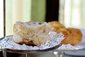Iron Horse Inn - Activities and Attractions