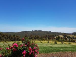 Karri Aura - Policies and Regulations