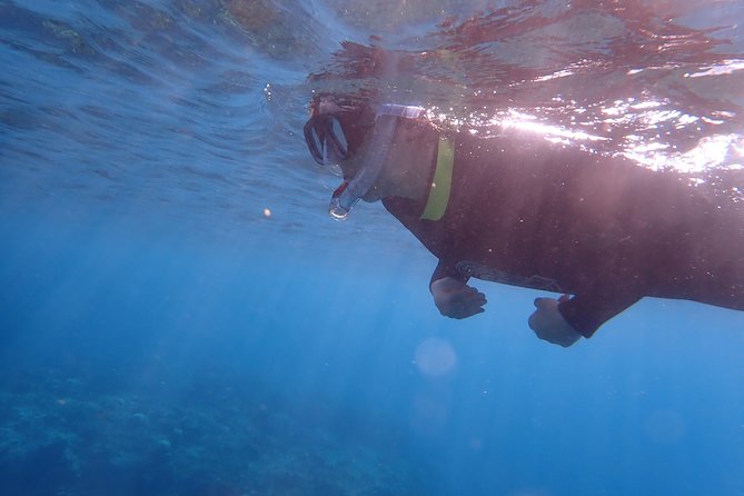 Kenting, Taiwan｜Snorkeling Free Underwater Photography One-On-One With Instructor｜Taiwan Diving Snorkeling - Health and Safety Considerations