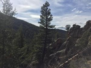 Kokopelli Inn - Rooms and Facilities