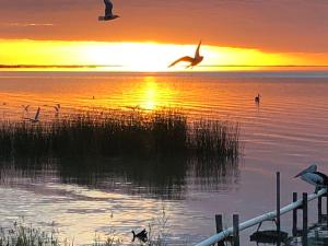 Lake Albert Motel - Local Attractions