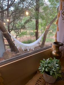 Le Petit Gypsy Wagon - Questions About Your Stay
