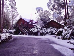 Lemonthyme Wilderness Retreat - Dining Experience
