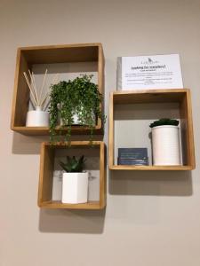 Lifestyle Apartments at Ferntree - Popular Property Features