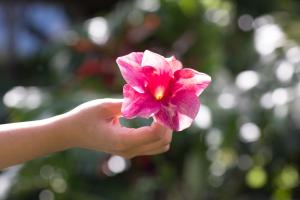 Lumeria Maui, Educational Retreat Center - Wellness and Spa Services