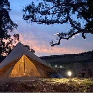 Mansfield Glamping - ADULTS ONLY - Peaceful Guest Experience