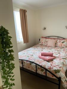 Mansfield Lakeside Caravan Park - Guest Feedback and Ratings
