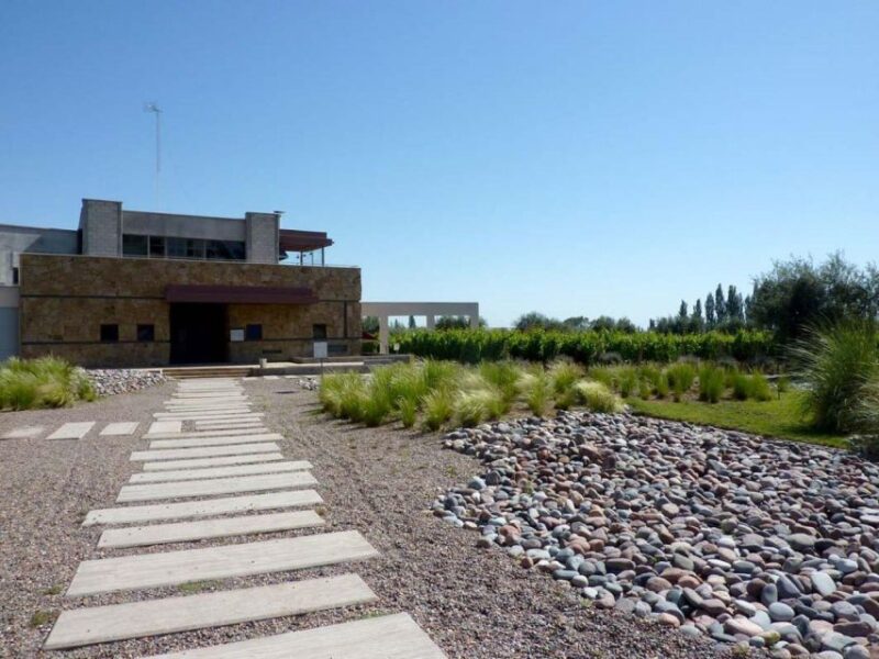 Mendoza: Wine Roads Half‐Day Tour With Regional Lunch - Child Policy