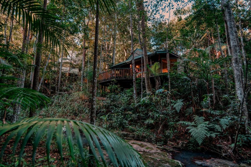 Narrows Escape Rainforest Retreat Review