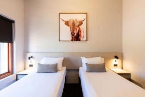 Nightcap at Wintersun Hotel - Check-in and Policies