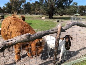 Nutcrackers Lodge - Outdoor Activities and Amenities