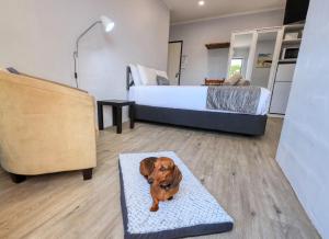 Parkes Federation Motel - Contact and Booking