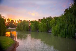 Perricoota Vines Retreat - Guest Experiences