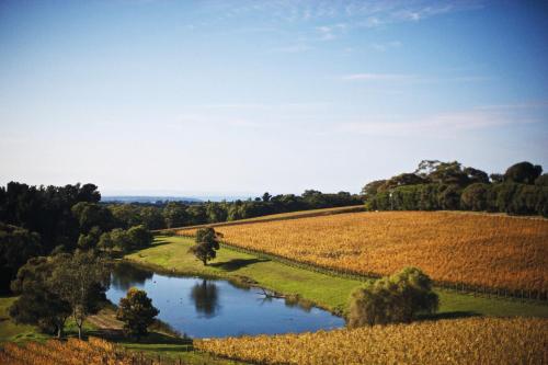 Port Phillip Estate - Guest Experience and Reviews