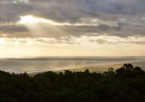 RACV Cape Schanck Resort Review - Dining and Cuisine