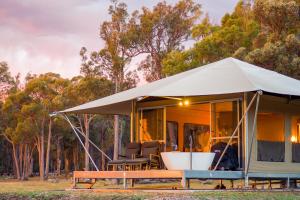 Serenity Gully - Nearby Attractions and Explorations