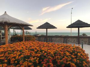 Shark Bay Seafront Apartments - Staff and Services