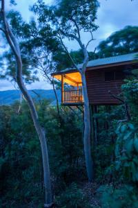 Thala Beach Nature Reserve - Environmental and Sustainability Efforts