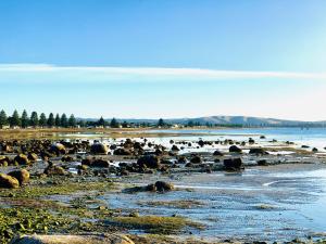 The Bluff Resort Apartments - Outdoor Facilities and Activities