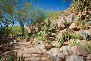 The Canyon Suites at The Phoenician, a Luxury Collection Resort, Scottsdale - Recreational Facilities Galore
