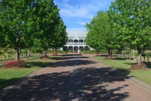 The Convent Hunter Valley Hotel - Recreational Activities