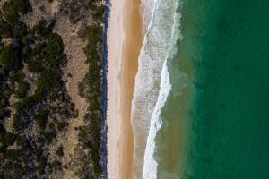 The Surfside Beaumaris - Pet-Friendly Policies