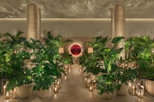 The Tampa EDITION - Remarkable Amenities and Facilities