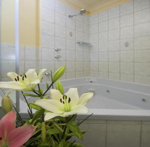 Victoria Hotel Strathalbyn - Why Stay at Victoria Hotel Strathalbyn