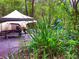 WA Wilderness - One Step From Nature - Questions About Your Stay