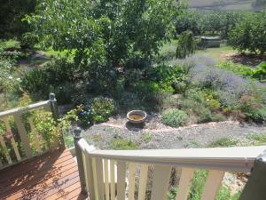 Walnut Cottage via Leongatha - Nearby Attractions