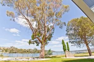 Waterfront Apartments - Exceptional Guest Ratings
