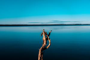 Waterfront Retreat At Wattle Point - Policies and Check-in/Check-out