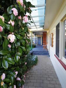 Wintersun Gardens Motel - Guest Ratings and Reviews