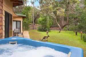 Yelverton Brook Conservation Sanctuary - Guest Ratings and Feedback