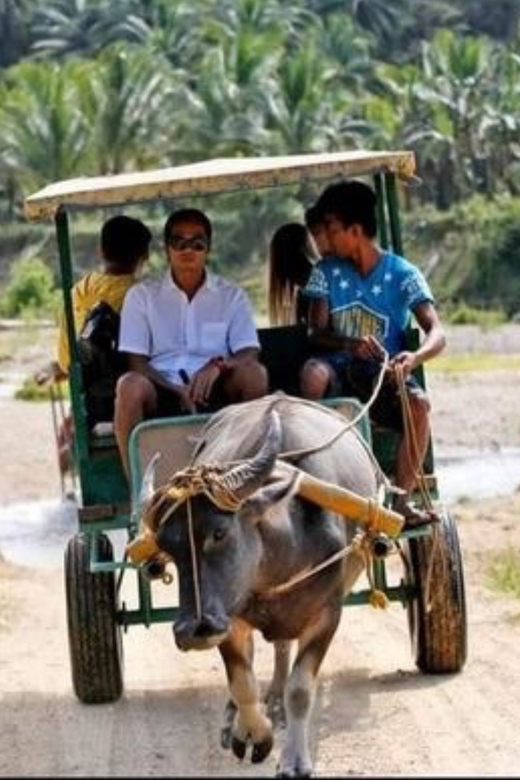 5-Hours Farmstay Experience