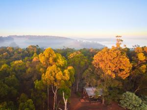 Balingup Heights Hilltop Forest Cottages - Ideal Travelers and Getaways