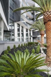 Caroline Serviced Apartments Sandringham - Check-in and Check-out Details