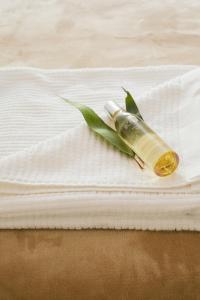 Chimes Spa Retreat - Policies and Booking
